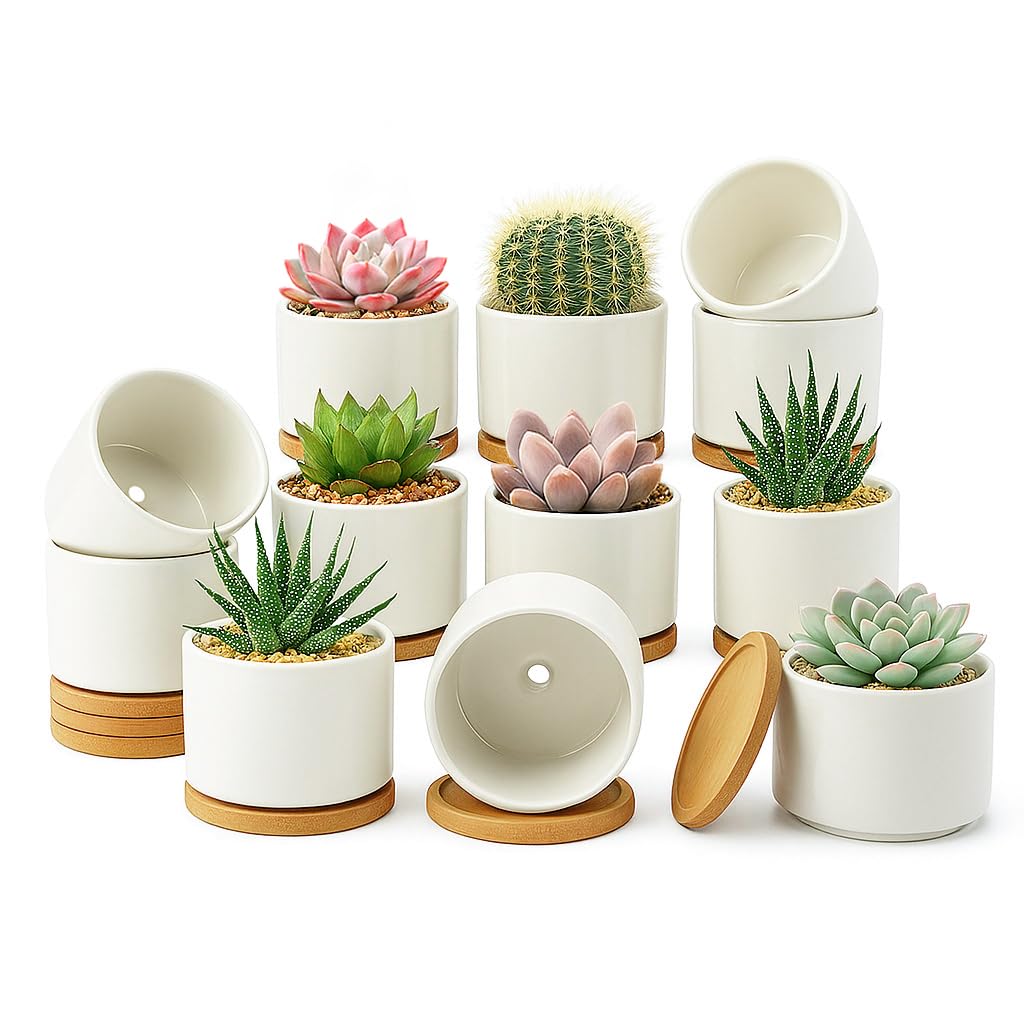 ZOUTOG 12 Pack Ceramic Succulent Pots,3.6 Inch Plant Pots,Succulent Planters with Drainage Hole & Bamboo Tray for Indoor Plants,White Small Flower Planters for Home,Office,Desk