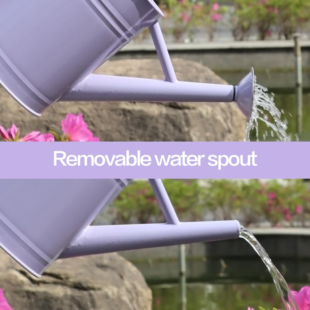 yourjoy Metal Watering Can, One Gallon Watering Cans Stainless Steel for Outdoor Indoor Garden Plants Watering (Stainless Steel Handle Purple)