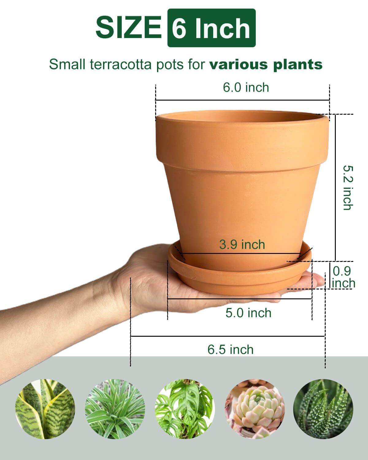 6 Inch Terracotta & Clay Plant Pots with Drainage Hole and Saucer- 4 Pack Medium Terra Cotta Pots for Indoor Outdoor Plants, Breathable Unglazed Classic Planter Pots for Succulents, Herbs, Flowers