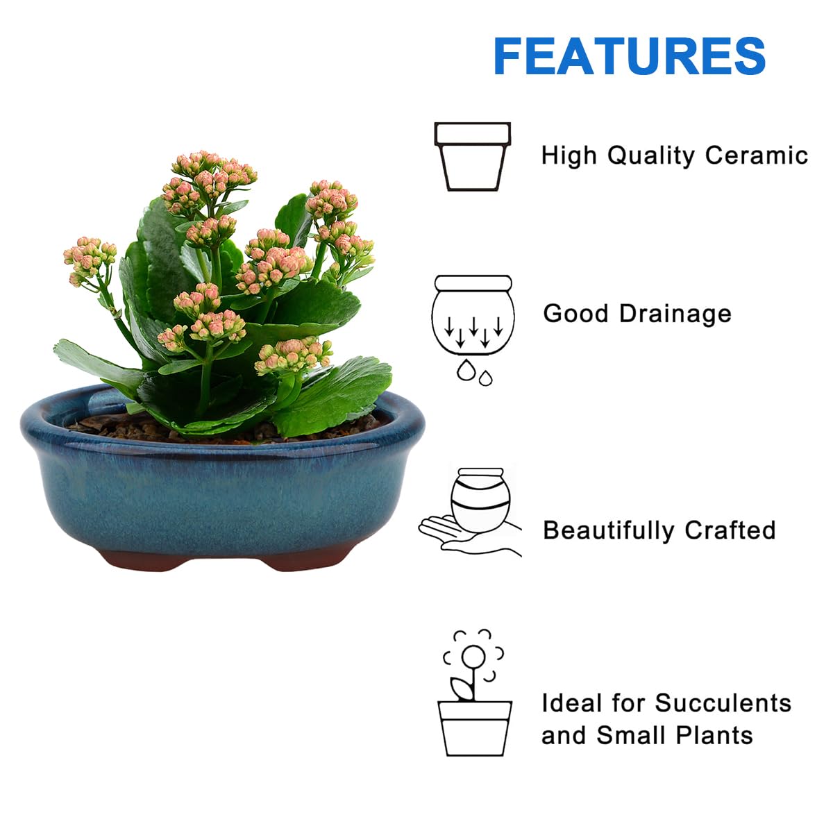 Bonsai Planter Succulent Small Glazed Pots, Value Pack of 2 + 4 Soft Mesh Drainage Screens