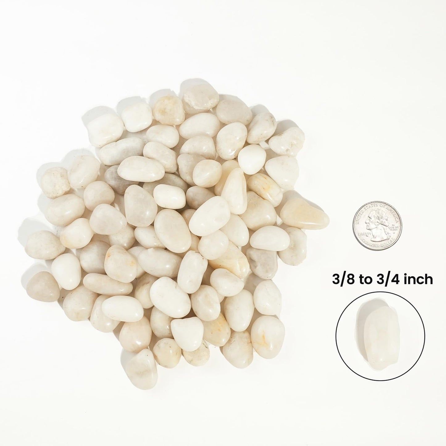 6 LBS River Rocks, StoneCreek, Decorative Garden Stones for Plant Landscaping, Polished Gravel Filler Pebbles for Home Decoration, Vases, Succulents, Flower Beds and Fish Tanks (White, Medium)