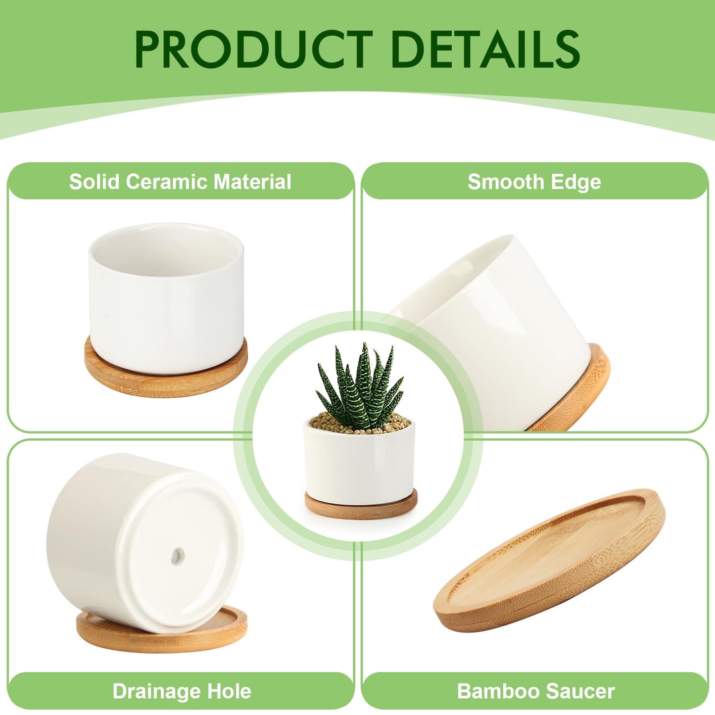 ZOUTOG Succulent Pots 3.1 Inch,6 Pack Succulent Planters,Small Pots for Plants with Drainage and Tray,White Ceramic Flower Planters for Indoor Plants,Home,Office,Desk