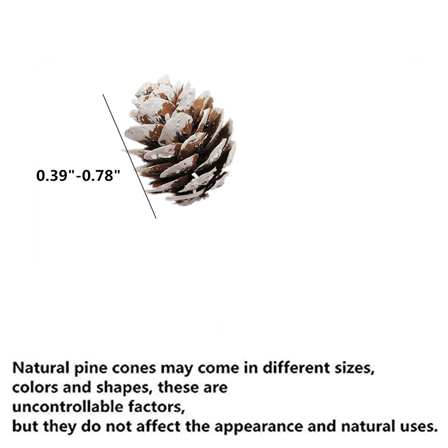 180 PCS Rustic Mini Pine Cones, White Christmas Snow Pinecones Ornaments,Wood Frosted Pine Cone Ornaments for Thangksgiving, Christmas, Autumn, Home, Party,Decorations,DIY Crafts and Gifts