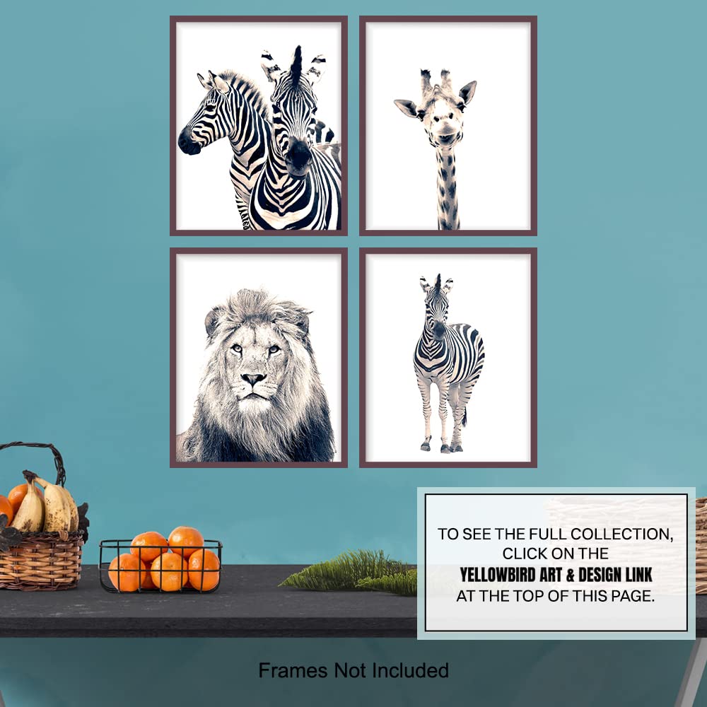 Black and White Photography African Animals Art Print Set, Wall Art Posters - Unique Contemporary Decor for Home or Office - Great Inexpensive Housewarming Gift for Nature Lovers, 8x10 Photos Unframed