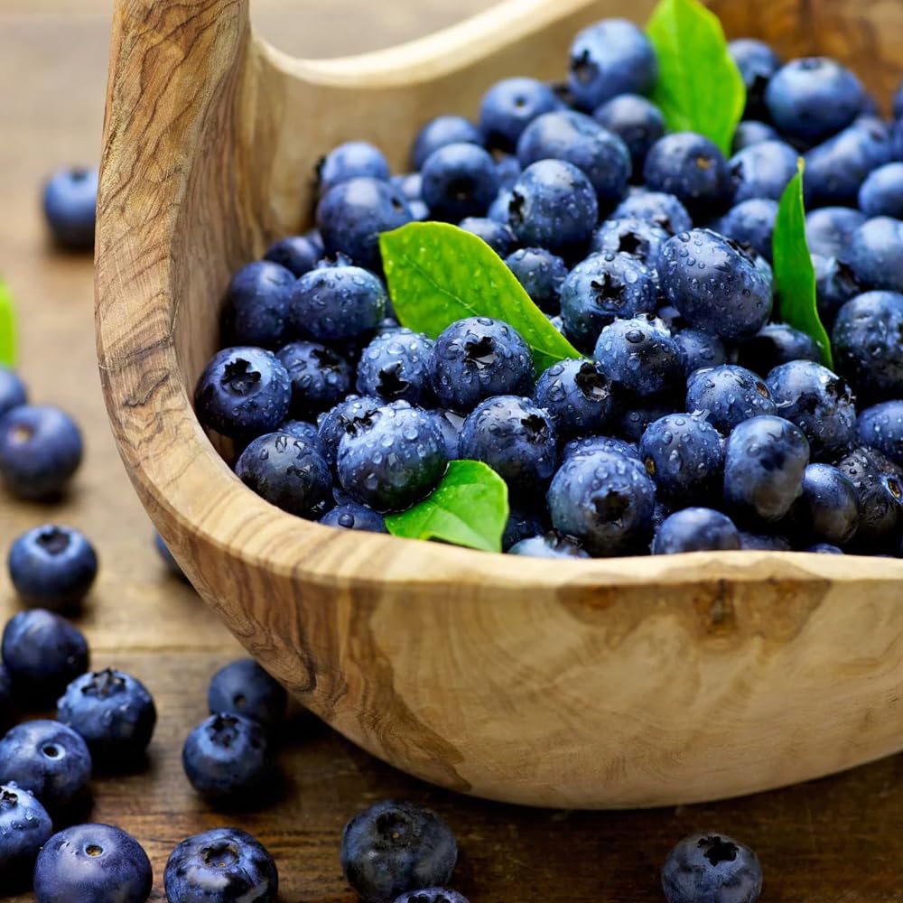 Mixrug 500+ Blueberries Seeds Organic-Heirloom Blueberry Seeds Non GMO Fruit Tree Seed-Dwarf Blue Berries Heirloom Berry Seed Easy to Grow for Planting Outdoors