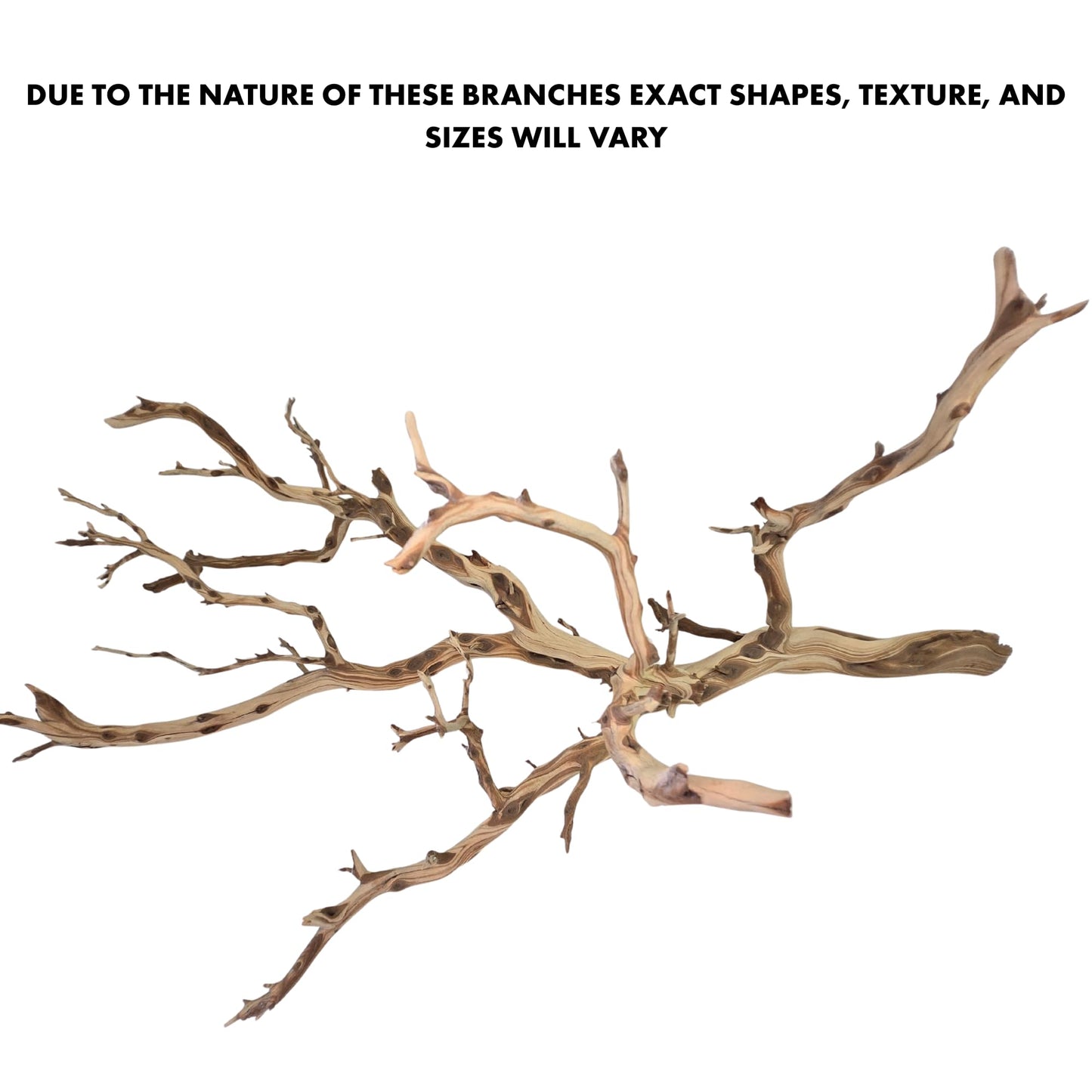 Koyal Wholesale California Driftwood with Natural Brown Branches, 36-Inch Large Driftwood Decor