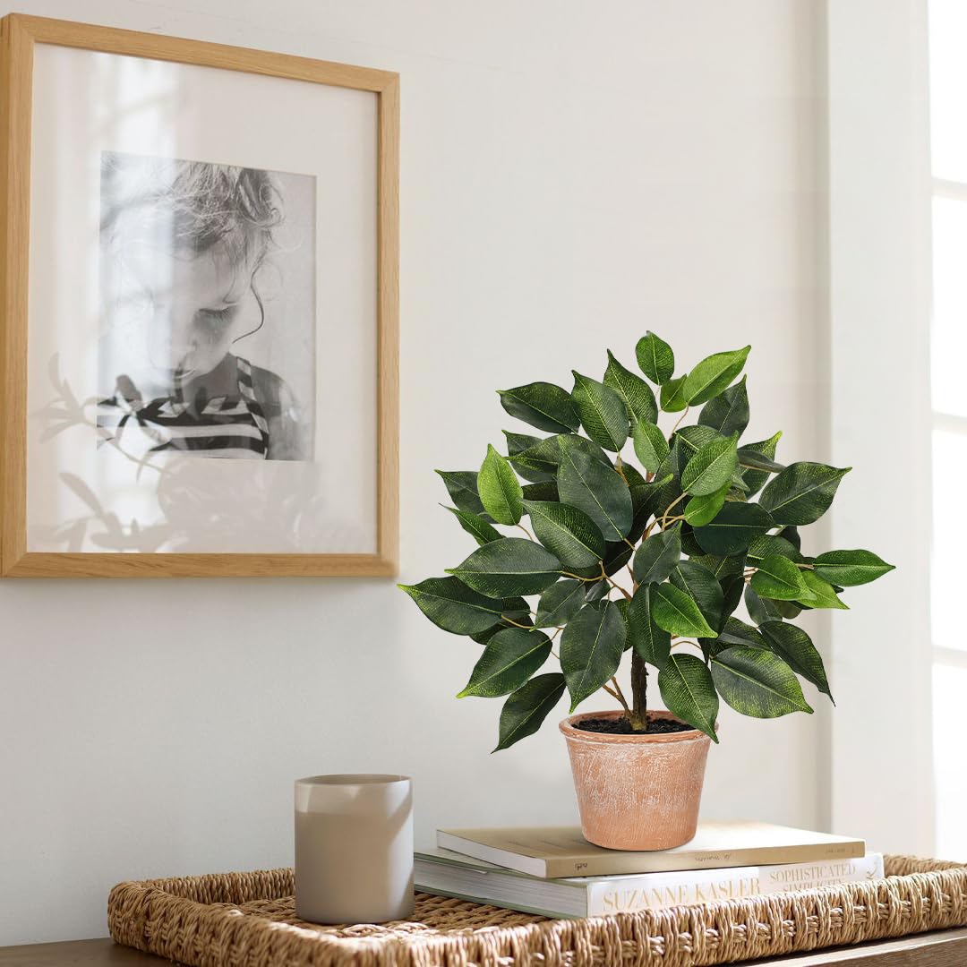 Fake Plant 13" Small Artificial Ficus Plant Faux Ficus Plants Banyan Tree with Rustic Terracotta Pot Silk Plants for Home Decor Indoor Office Living Room Bedroom Shelf Table Centerpieces