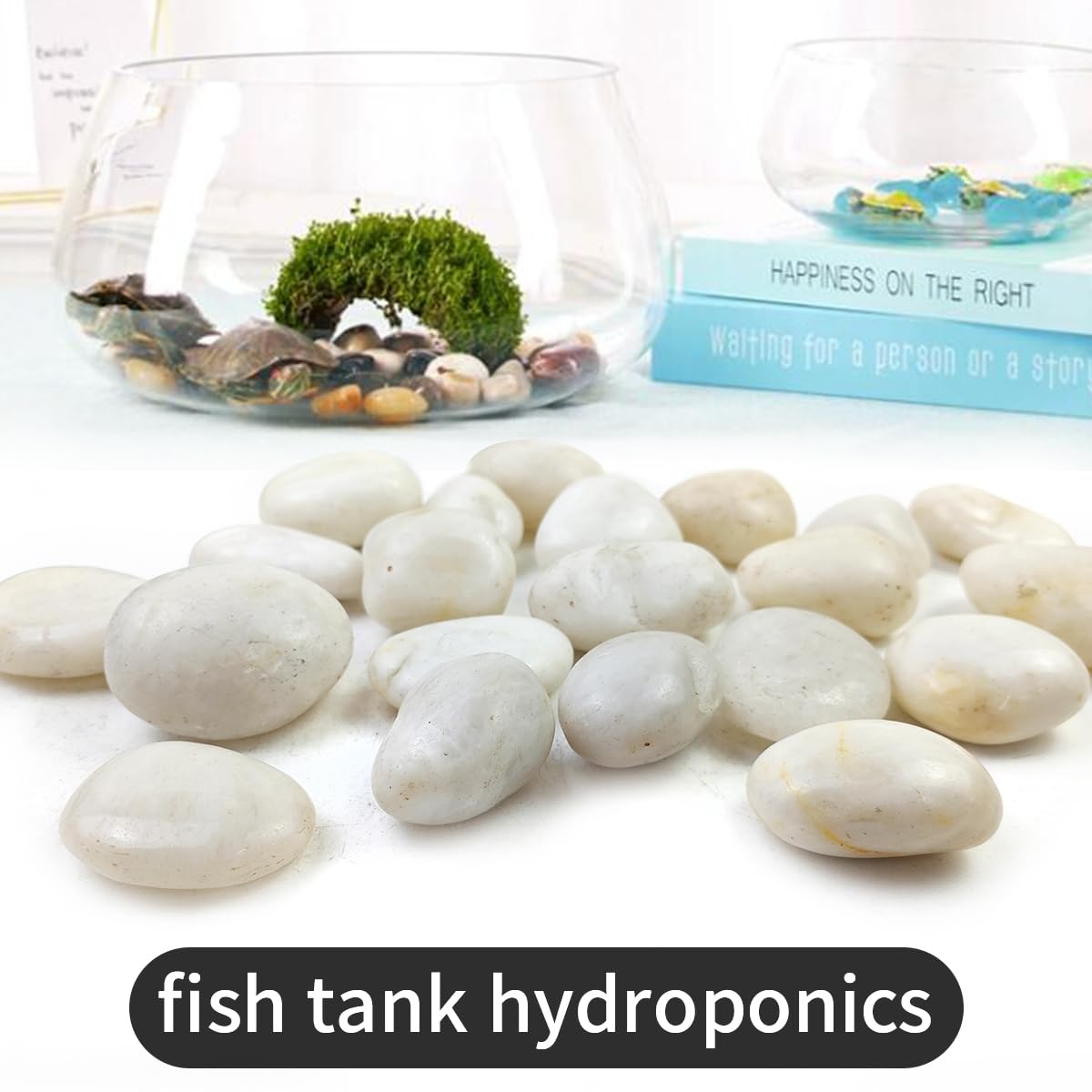 SHIZWU 5LB White River Rocks - 2-3 inch High Polished Decorative Pebbles, Stones for Landscaping, Natural River Rocks for Outdoor Décor, Plants,Vase Filler,Fish Tank