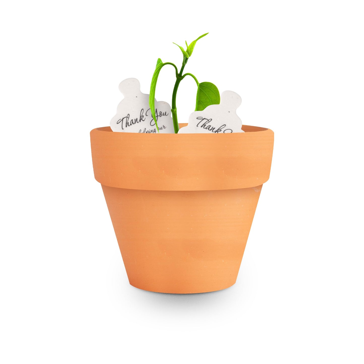 Seed Bloom 12pcs Mini Orange Pots – Small Pots for Indoor or Outdoor Plants, Mini Planters for Flowers and Greenery, for Plant Lovers