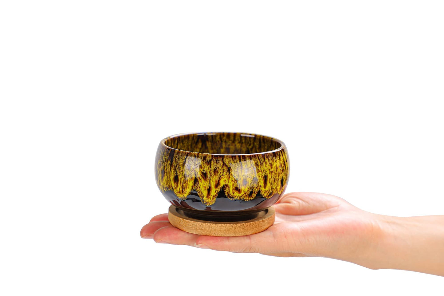 LamDawn Cute Ceramic Succulent Garden Pots, Planter with Drainage and Attached Saucer, Set of 5 -Plants Not Included (Round)