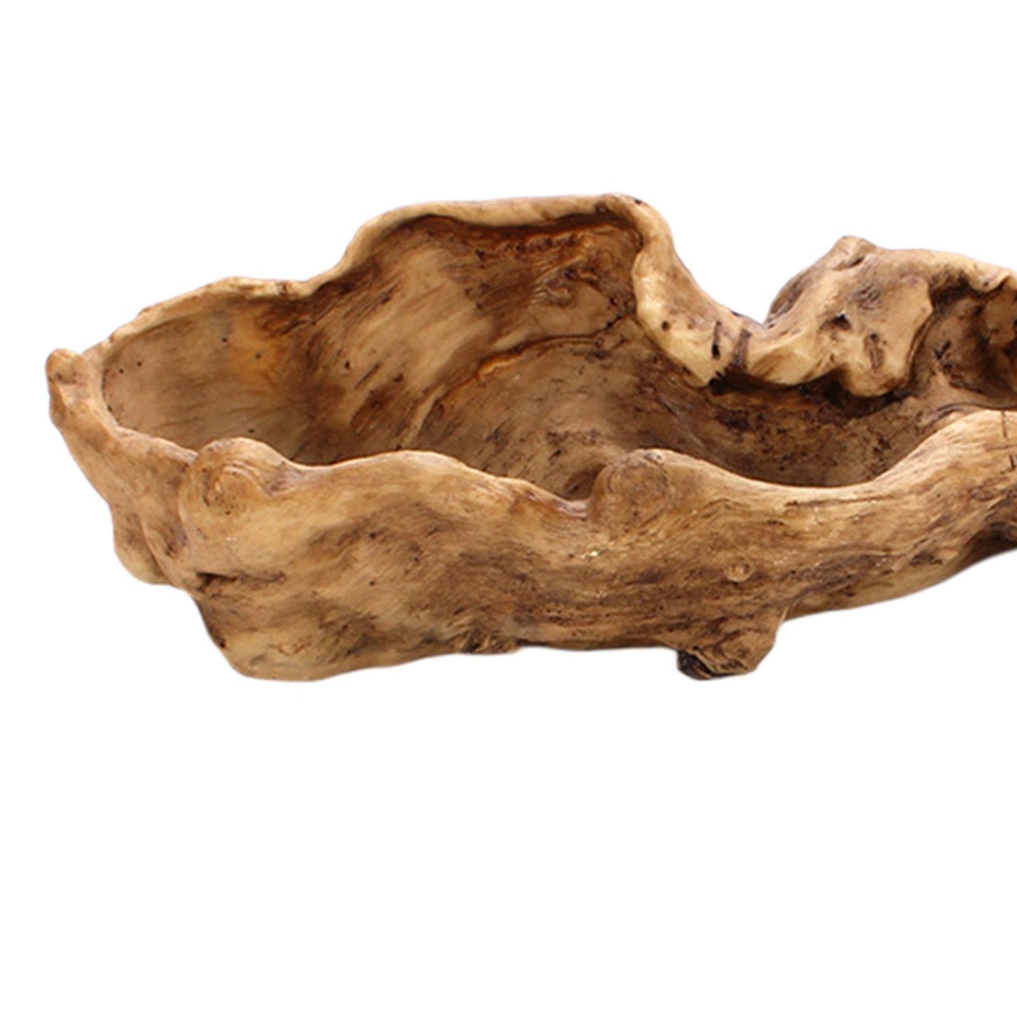 Holder in Driftwood for Indoor Decoration