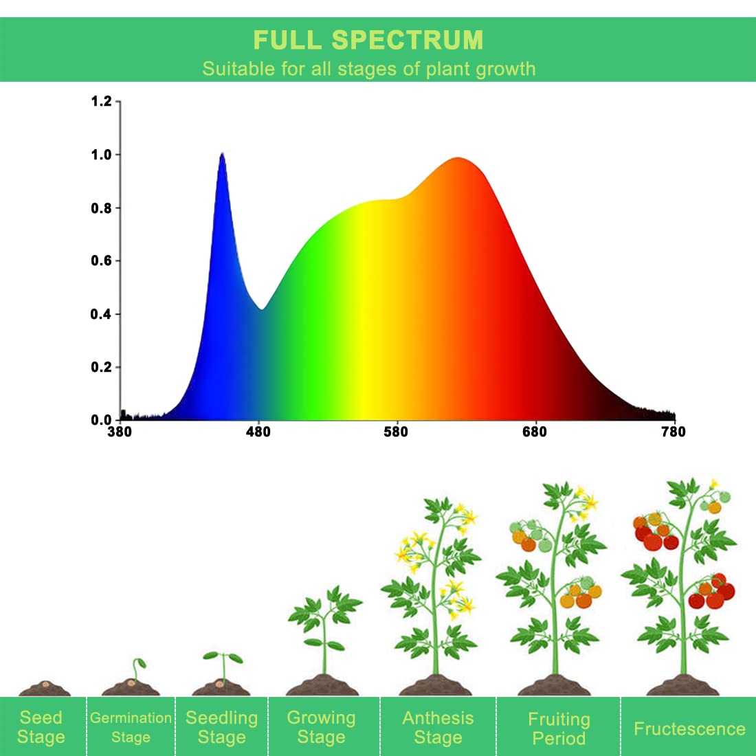 Grow Light Bulbs for Indoor Plants, Full Spectrum Grow Light Bulb, 11W LED Growing Plant Light Bulb for Seed Starting, Hydroponics, Vegetable, Flowers, Greenhouse, 100W Equivalent, A19, E26, Pack of 6