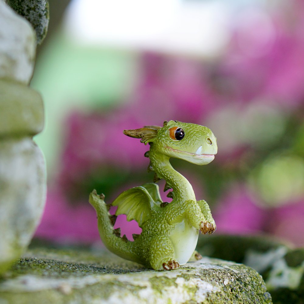 Top Collection 4412 Miniature Fairy Garden & Terrarium Mini Dragon Statue, Small