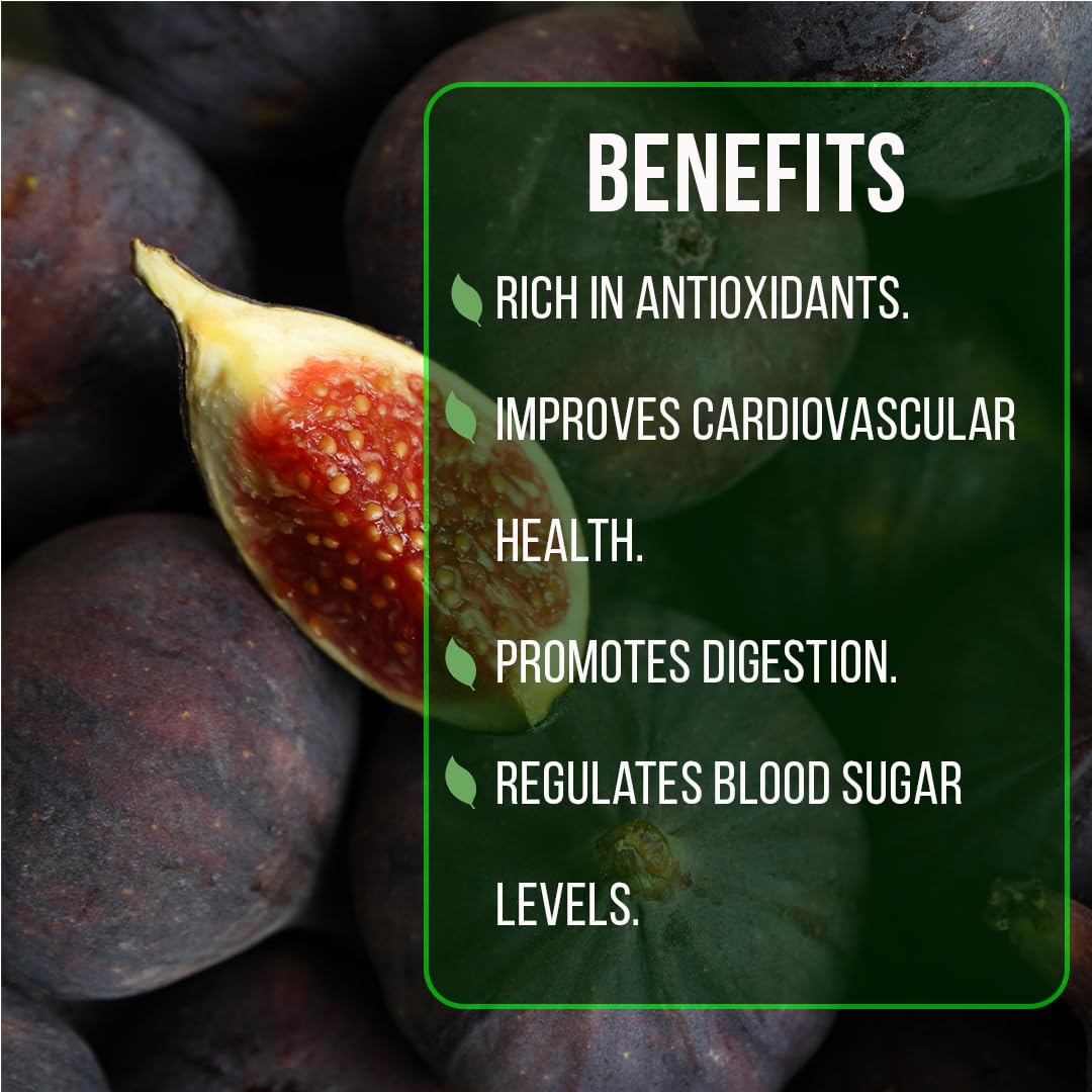 Fig Tree Black Mission Live for Sale (4 Pack) | Easy to Grow Plants | Edible Fruit Plant for Sustainable Living | Grow Your own Food on Your Edible Organic Garden| Live for Planting| 2 inch Pot