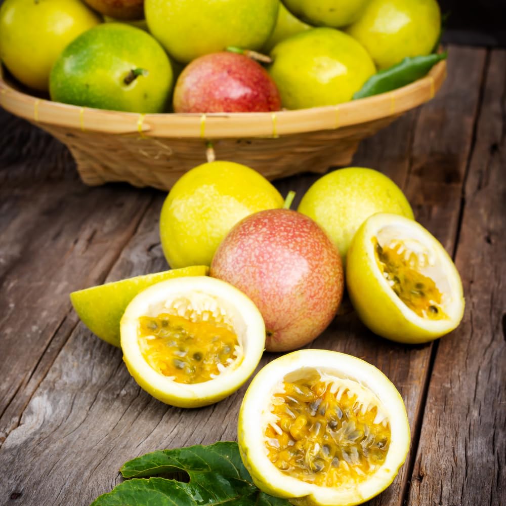 Yellow Passion Fruit Tree Live Plant, Yellow Passionfruit Vine Starter Plant from 5 Inc Tall, Passion Fruit Plant Live