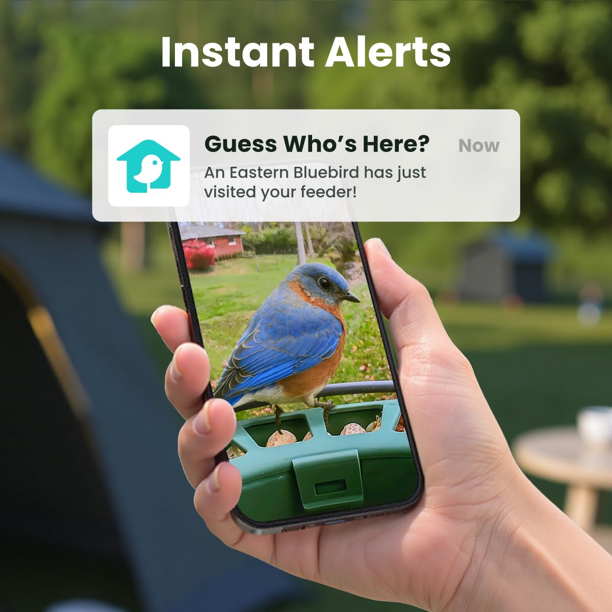 Birdfy 2 Smart Bird Feeder with Camera,Solar-Powered, Wireless Installation, Auto-Capture Bird Videos & Motion Detection, Gift Present