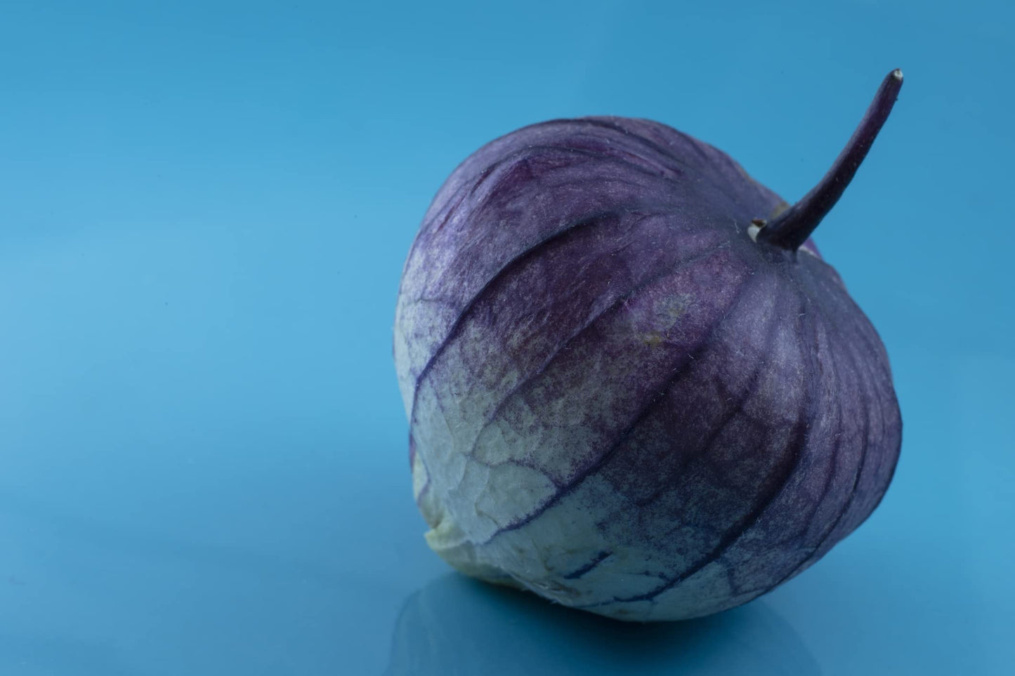 Purple Chinese Lantern Seeds for Planting - 50 Seeds - Exotic Garden Seeds