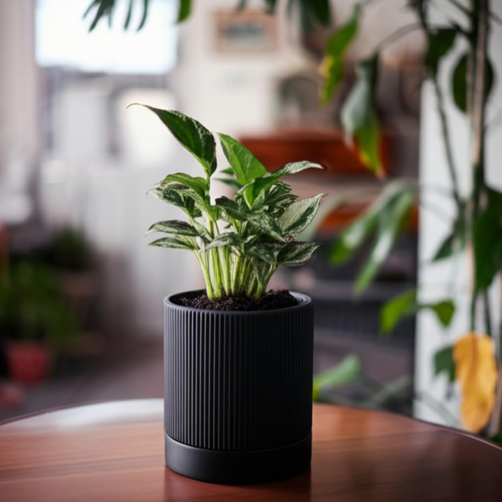 HERDUK 6 Inch Ceramic Plant Pot with Drainage & Saucer - Indoor Planter for Succulents, Cacti & Aloe Vera - Striped Design, High-Temp Fired Clay, Lightweight Modern Decor