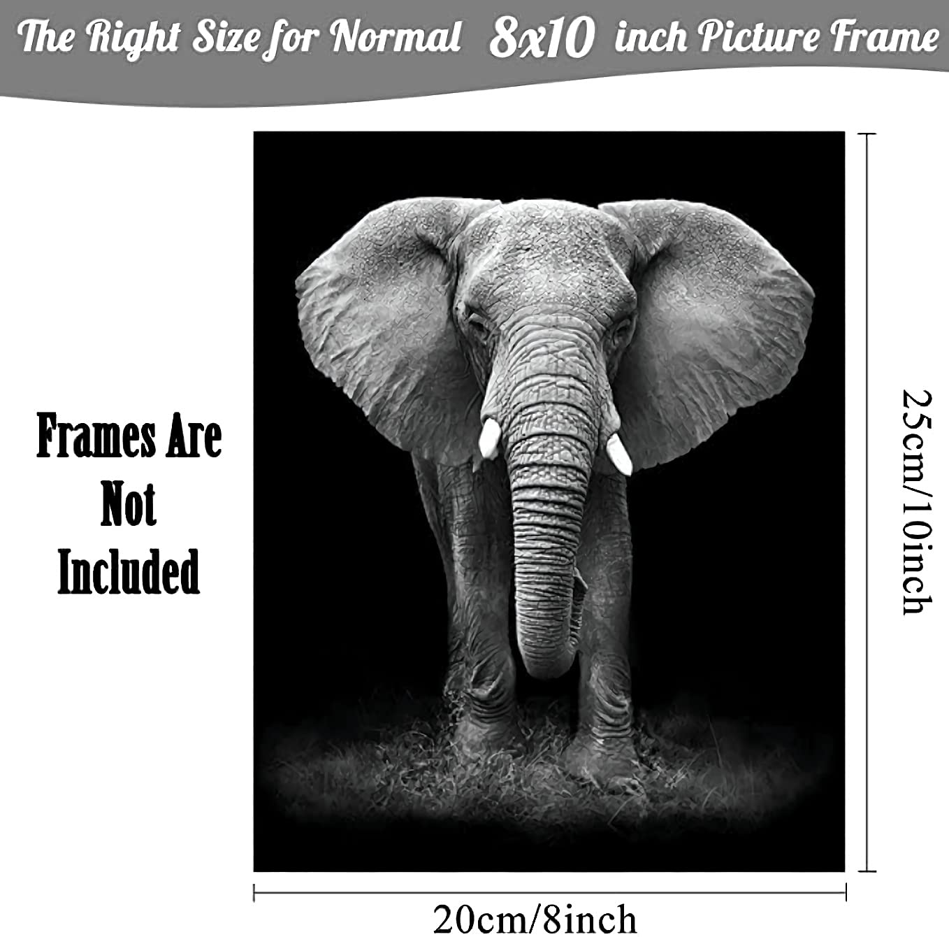 NIIORTY 4 Set-Black and White African Wild Animal Photo Wall Art,Tiger,Lion,Elephant, Leopard Picture Canvas Wall Poster Printing,Brave Inspirational For Bedroom Living Room Decor(8x10inch Unframed)