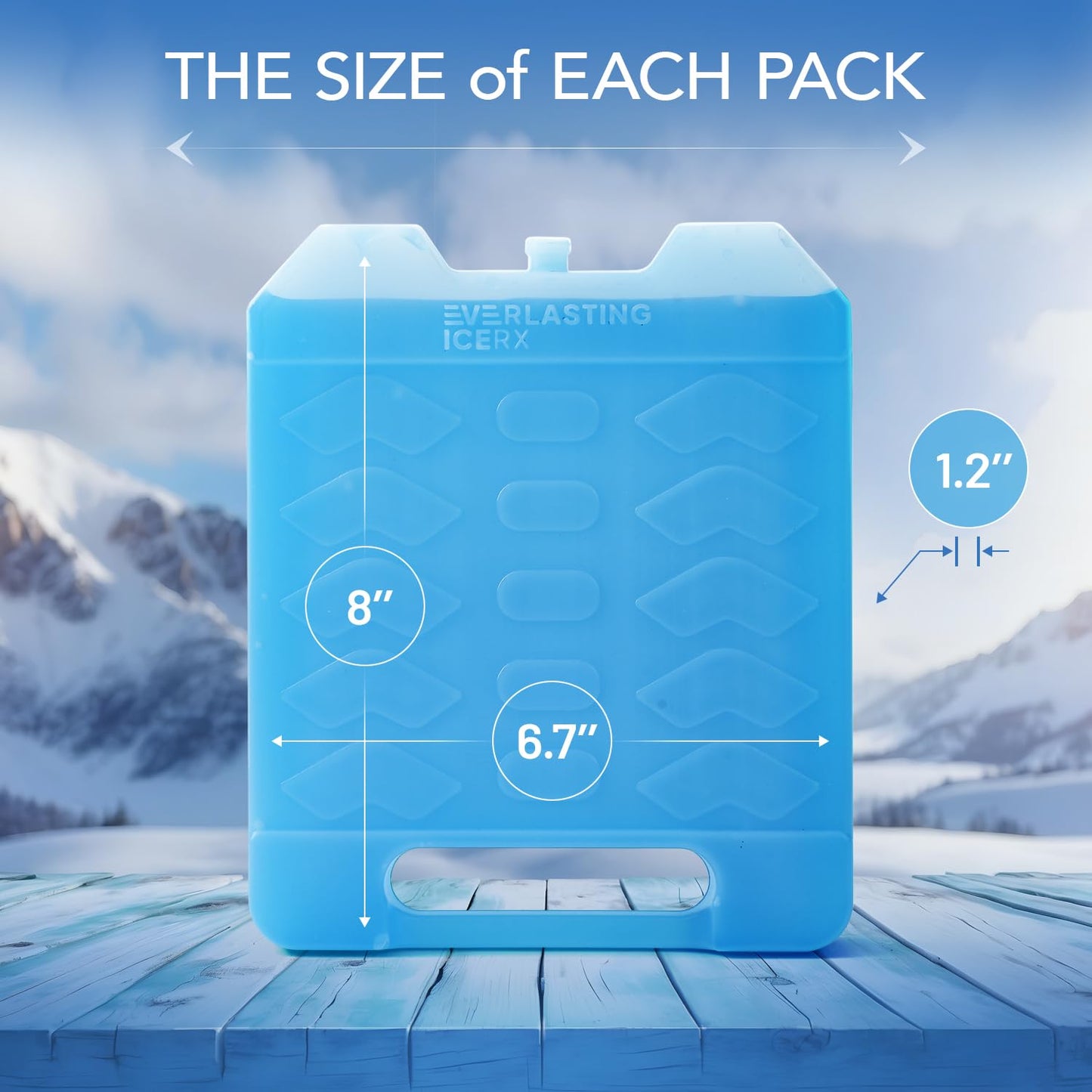 Large Reusable Ice Packs for Cooler with Handle (4 Pack) Long Lasting Coolness, BPA Free, Freezer Packs for Extended Cooling | Cooler Ice Packs for Camping, Fishing, Hiking, Beach