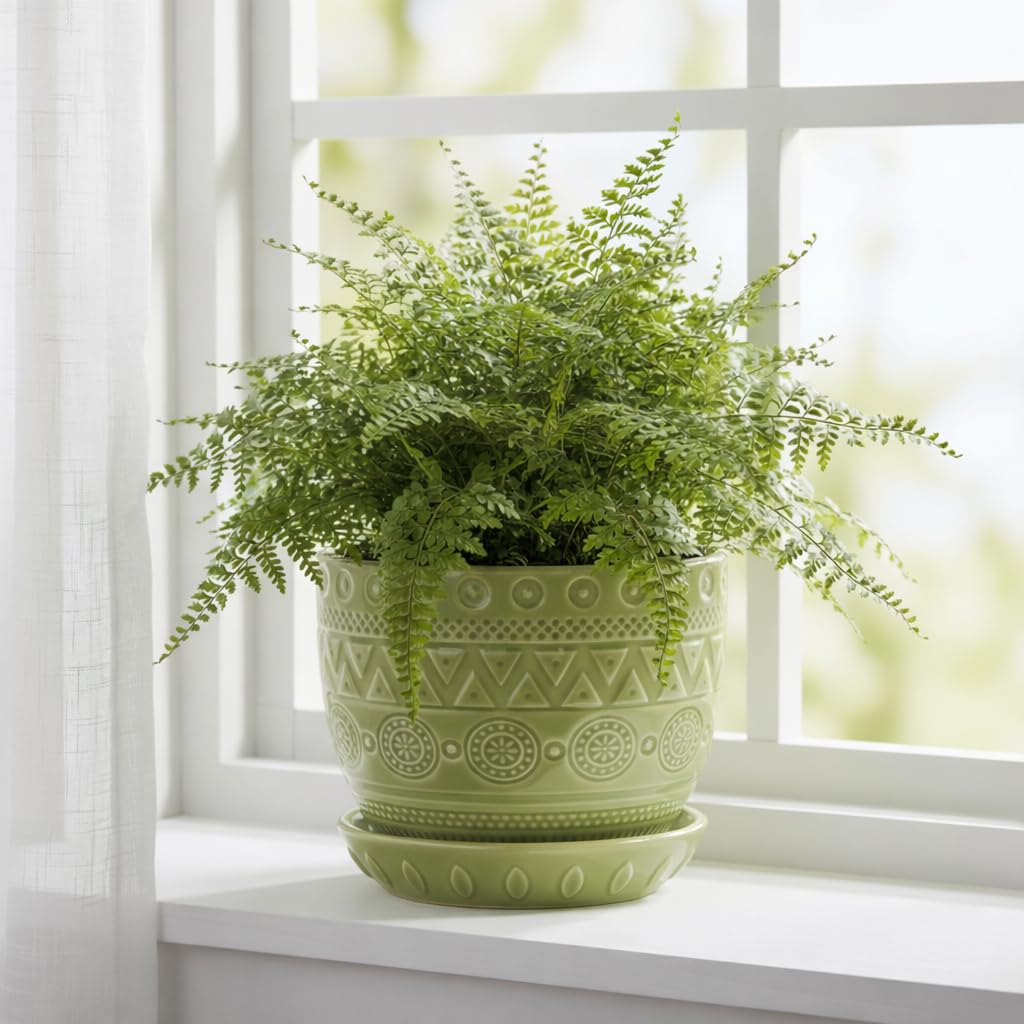 G EPGardening Indoor Plant Pot 5.5 Inch - Ceramic Planter with Drainage Hole and Saucer, Round Boho Plant Pot for Indoor Plants, Plant Lover Gifts, Home Garden Office Decor, Green