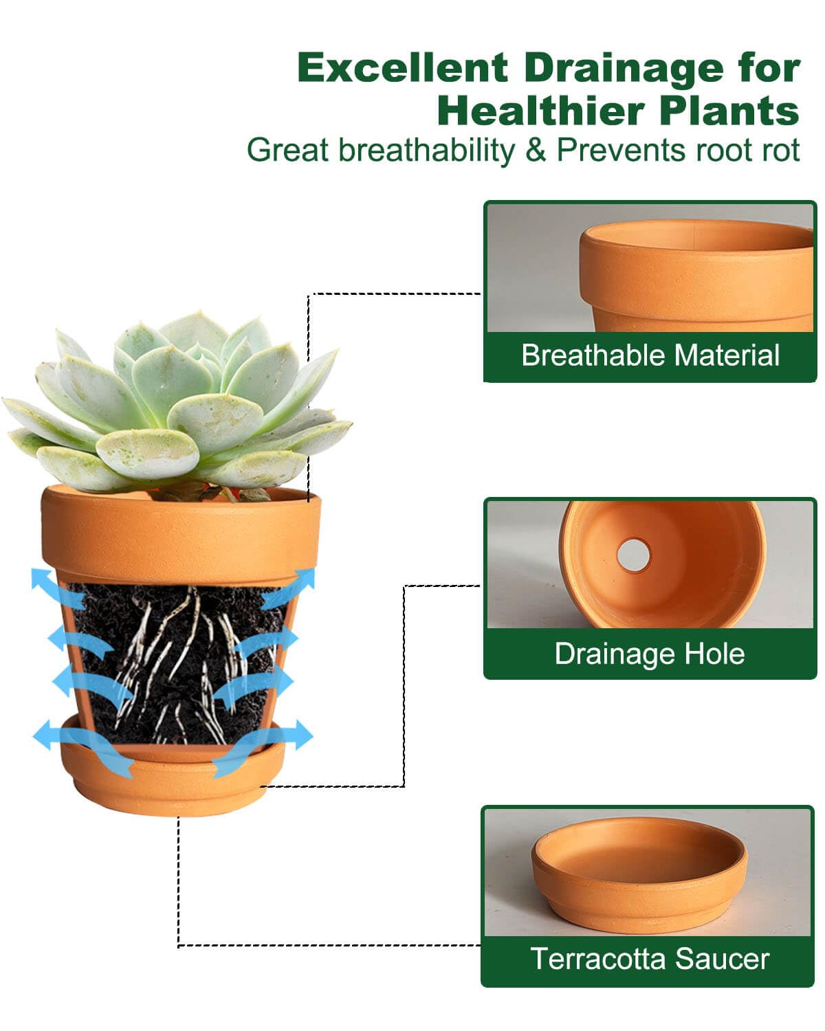 6 Inch Terracotta & Clay Plant Pots with Drainage Hole and Saucer- 4 Pack Medium Terra Cotta Pots for Indoor Outdoor Plants, Breathable Unglazed Classic Planter Pots for Succulents, Herbs, Flowers