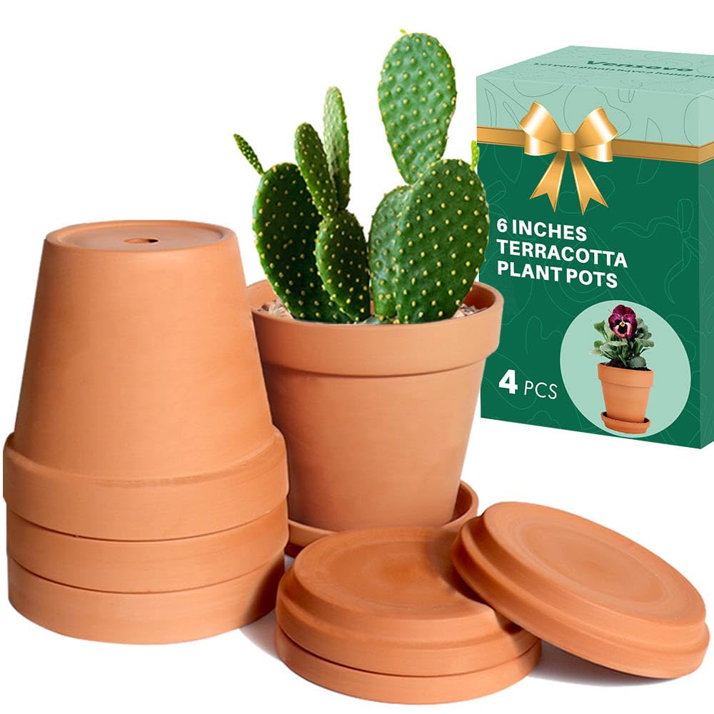 vensovo 6 Inch Terracotta & Clay Pots for Plant with Saucer - 4 Pack Medium Terra Cotta Planter with Drainage Hole, Flowerpot for Indoor Outdoor Plants, Crafts, Wedding Favor
