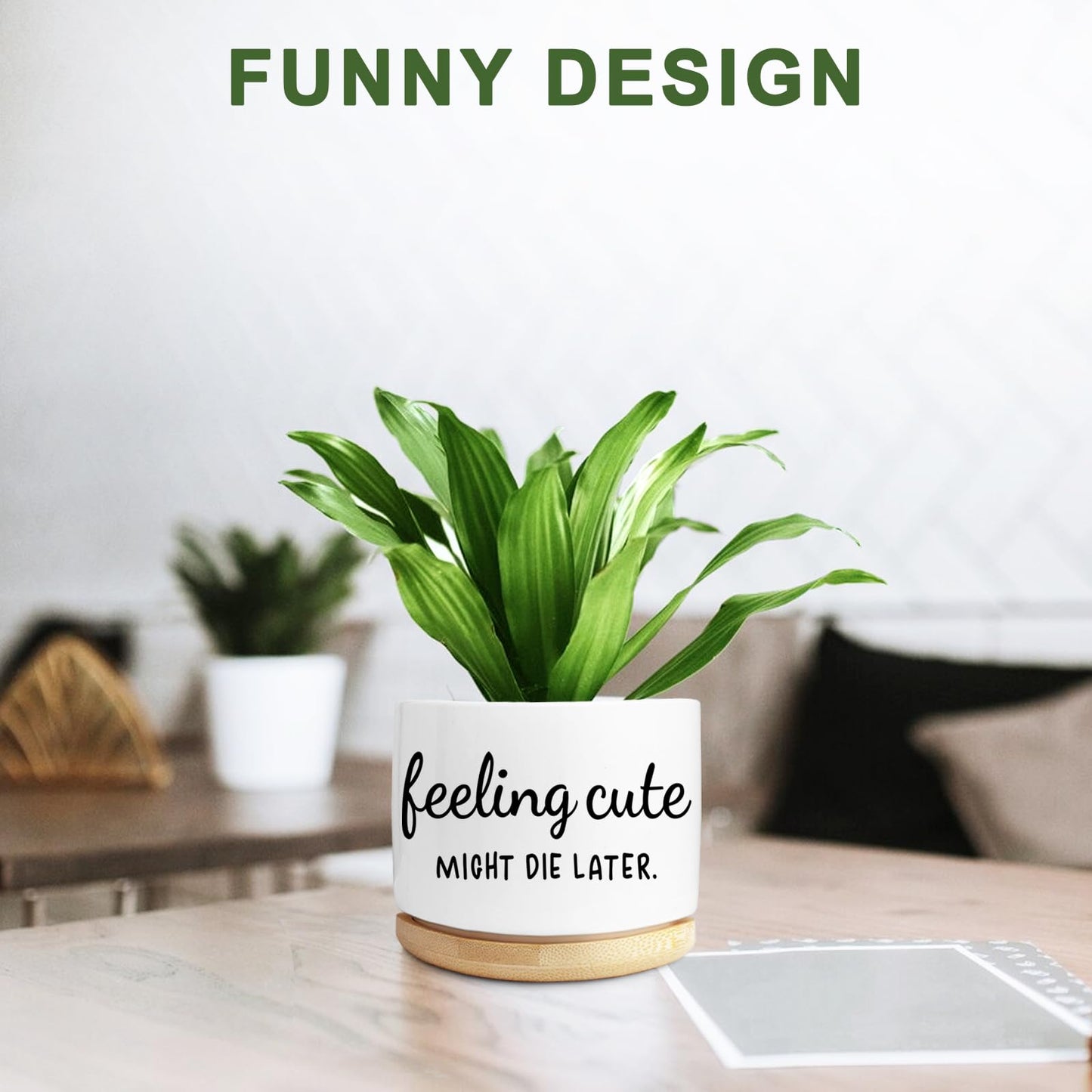 Aryabtya Funny Succulent Planter, Flower Cactus Plant Pot for Indoor Plants, Cute Planter Pots with Drainage and Tray, Office Home Windowsill Decor Planter Gift for Women Men (No Plants)
