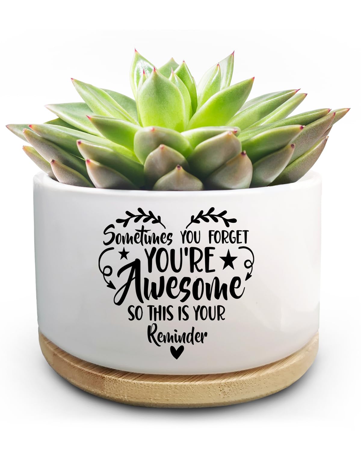 Jutasty Thank You Gifts for Women, Funny Succulent Plant Pot, Cactus Flower Planter Gifts, Appreciation Inspirational Farewell Going Away Gifts for Women Men Boss Lady Manager Coworkers (No Plants)