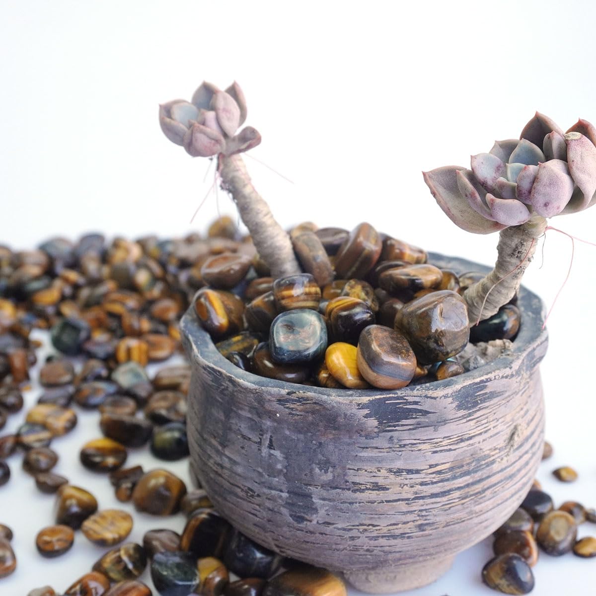 XMHOME 3 Pounds Bulk Tiger's Eye Tumbled Stones - Natural Polished Gemstones for Vase Filler, Jewelry Making, and Home Decoration