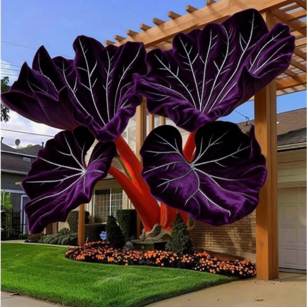 Elephant Ear Bulb, Large Leaf Style, Vibrant Green, for Garden