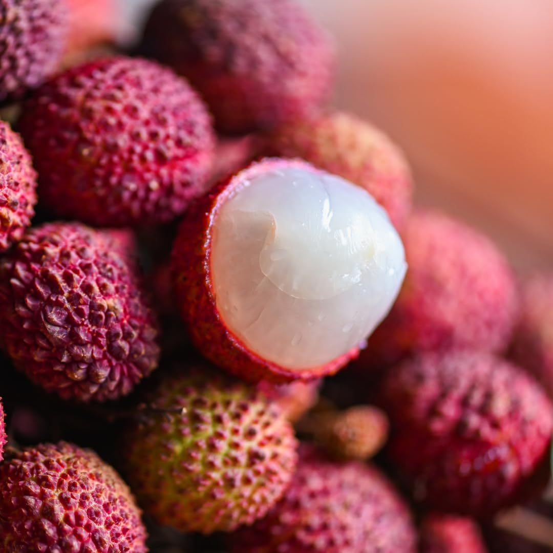 Live Sweetheart Lychee Fruit Tree, Perennial Tropical Lychee Fruit Trees, 3-4 Feet Tall in 3 Gallon Pot for Oudoor Garden, No Ship to CA