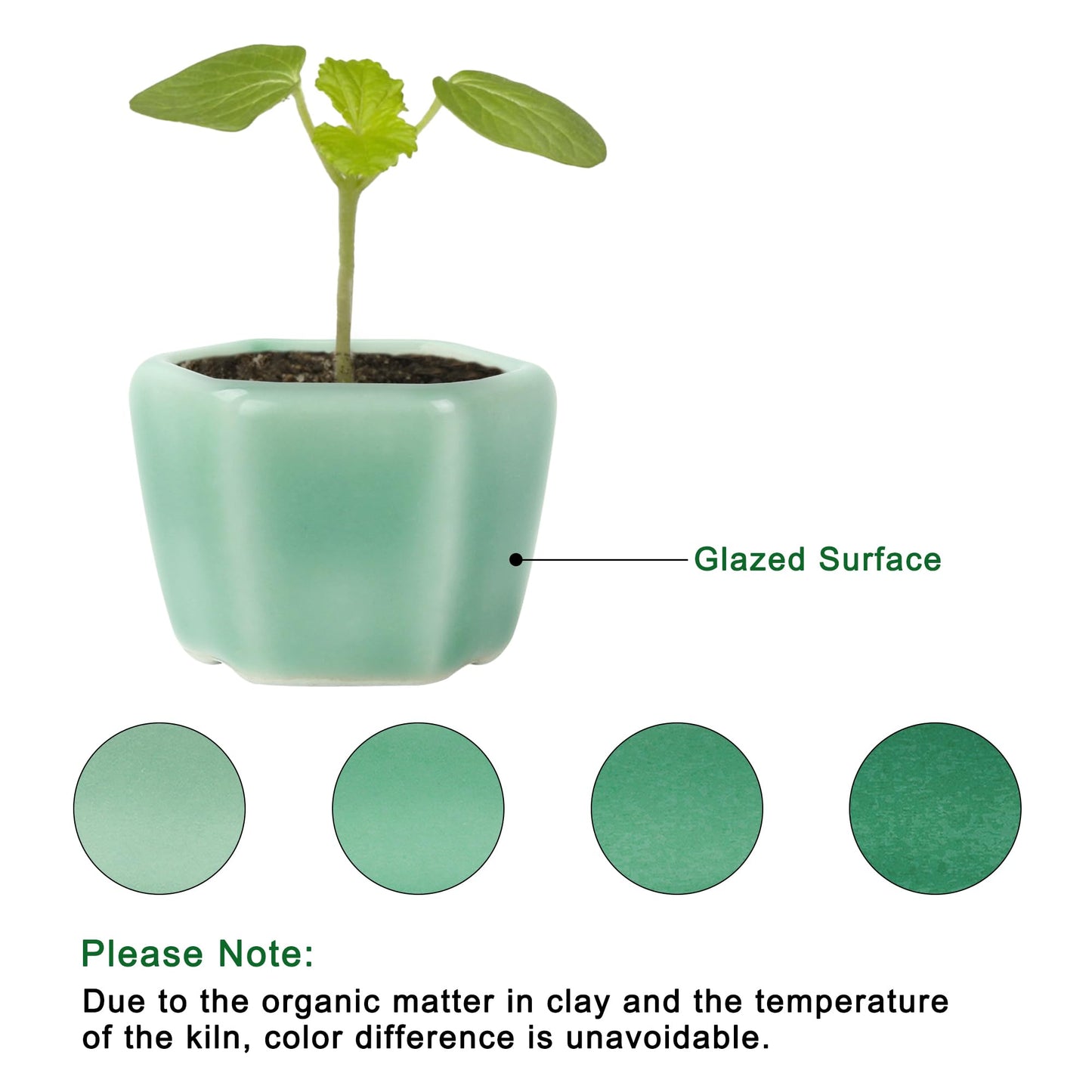 Bonsai Planter 1.8 inch (4.5cm) Mini Succulent Glazed Pots Set of 18 Green