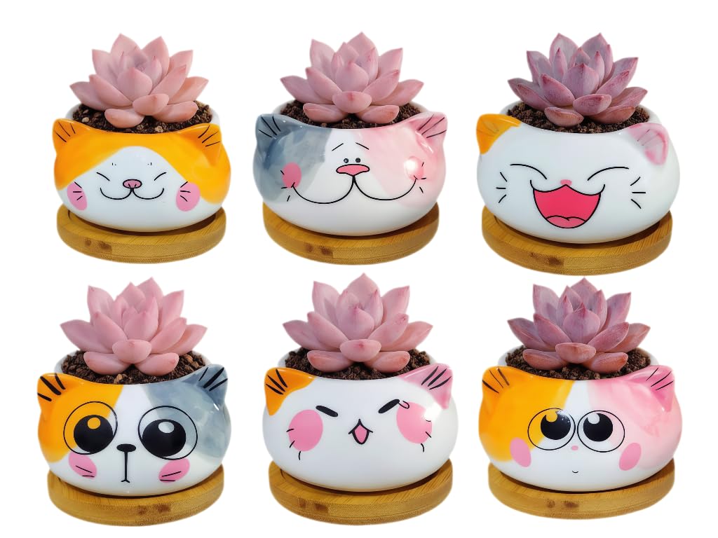 Cuteforyou Cute 3.5 Inches Indoor Cartoon Animal Cat Shaped Ceramic Succulent Cactus Flower Plant Pots with Bamboo Tray-Plant Not Included (6 Corlors)