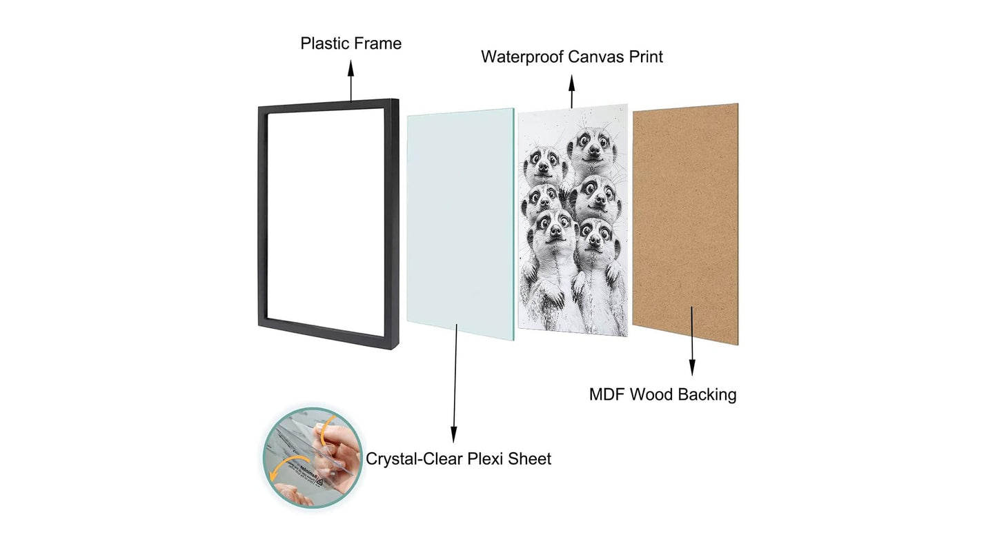 Orvannaatr Animal group portrait photo, black and white fun animal painting, modern fashionable decorative wall art, suitable for use in bathrooms, bedrooms, and entrance walls.