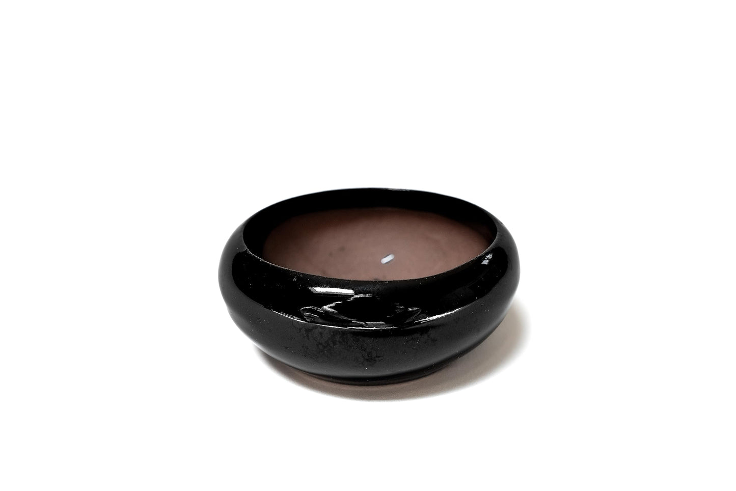 Air Plant Shop Fully Assembled Tillandsia Air Plant Dish Garden in Black Glazed Container - Wholesale and Bulk - Succulents - Live Tillandsia - Easy Care Indoor and Outdoor House Plants