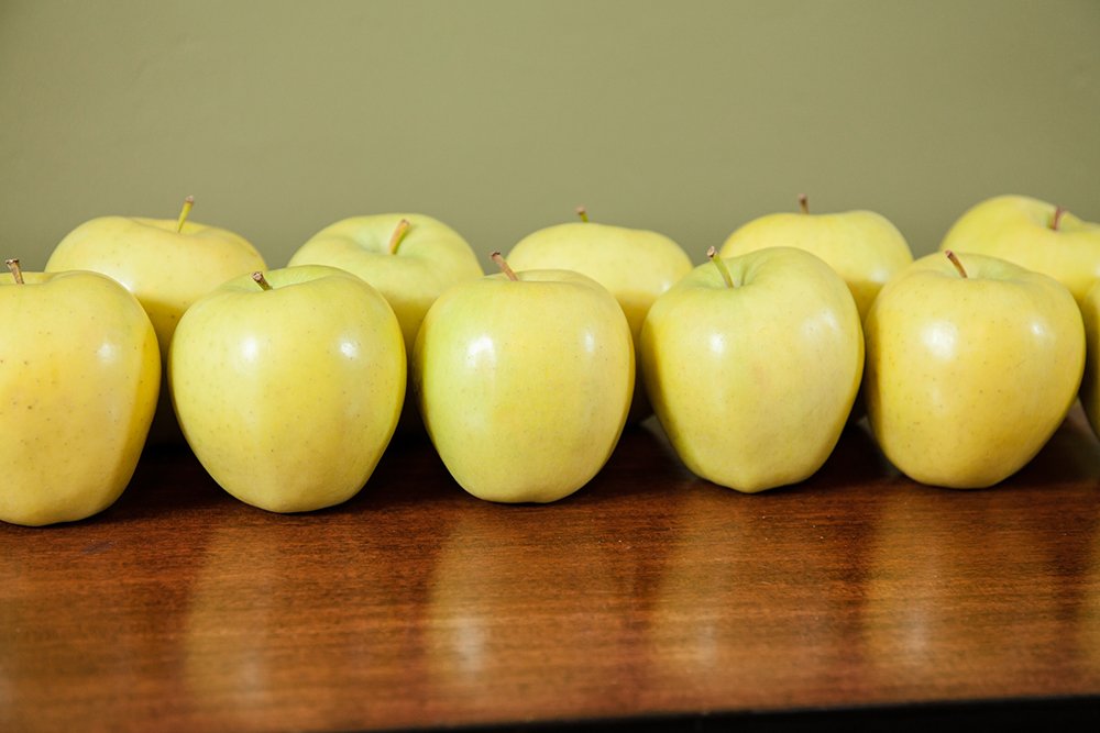 Golden Delicious Apple Tree - Size: 5-6', Live Plant, Includes Special Blend Fertilizer & Planting Guide