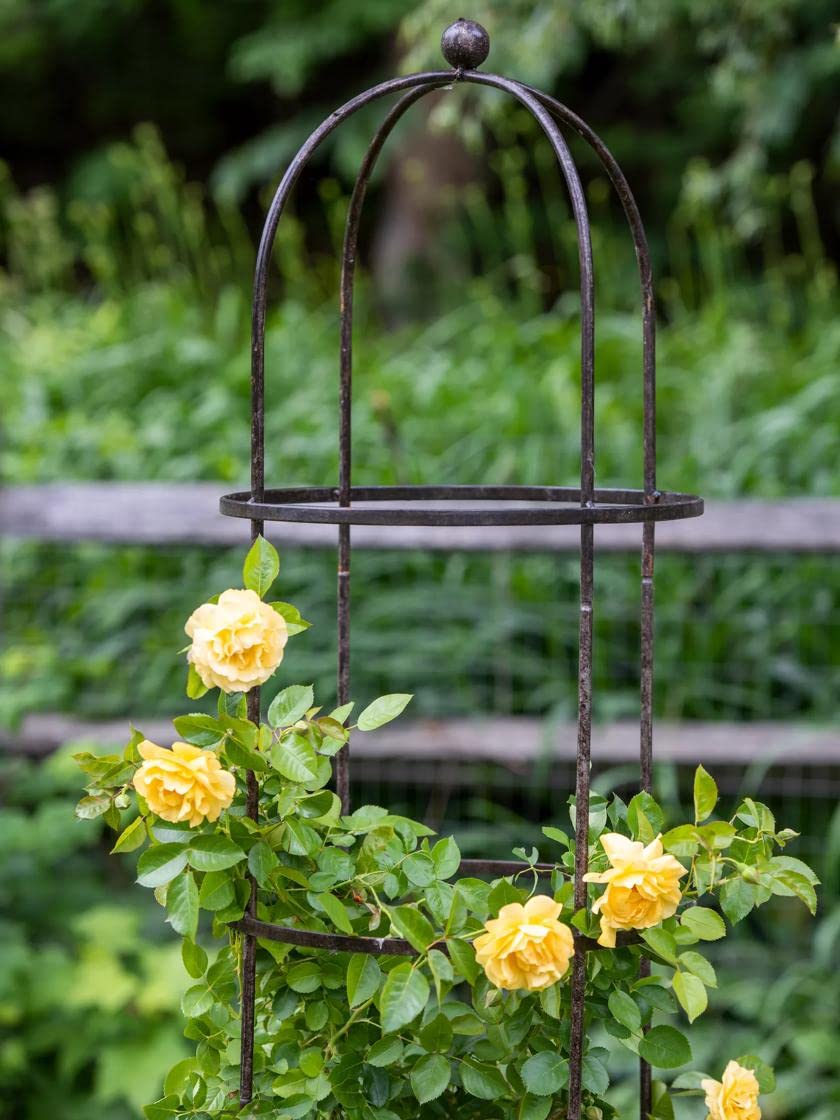 Gardener's Supply Company 7 Foot Tall Garden Obelisk | Sturdy Steel Jardin Trellis Support | for Climbing Plants, Vines, Clematis & Flowers - 15-1/2"D x 84" H
