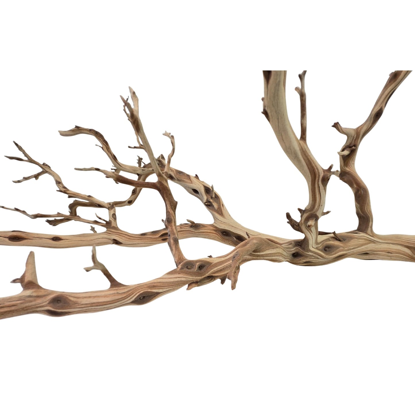 Koyal Wholesale California Driftwood with Natural Brown Branches, 36-Inch Large Driftwood Decor