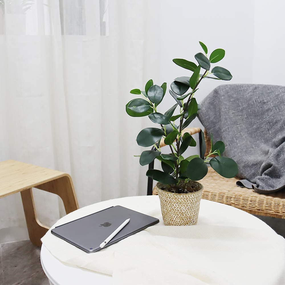 SAROSORA Artificial Ficus Tree Small Fake Plants in Weaved Pot 20" Height for Living Room Desktop Decor Indoor Home Office Ins Style (Green, 1)