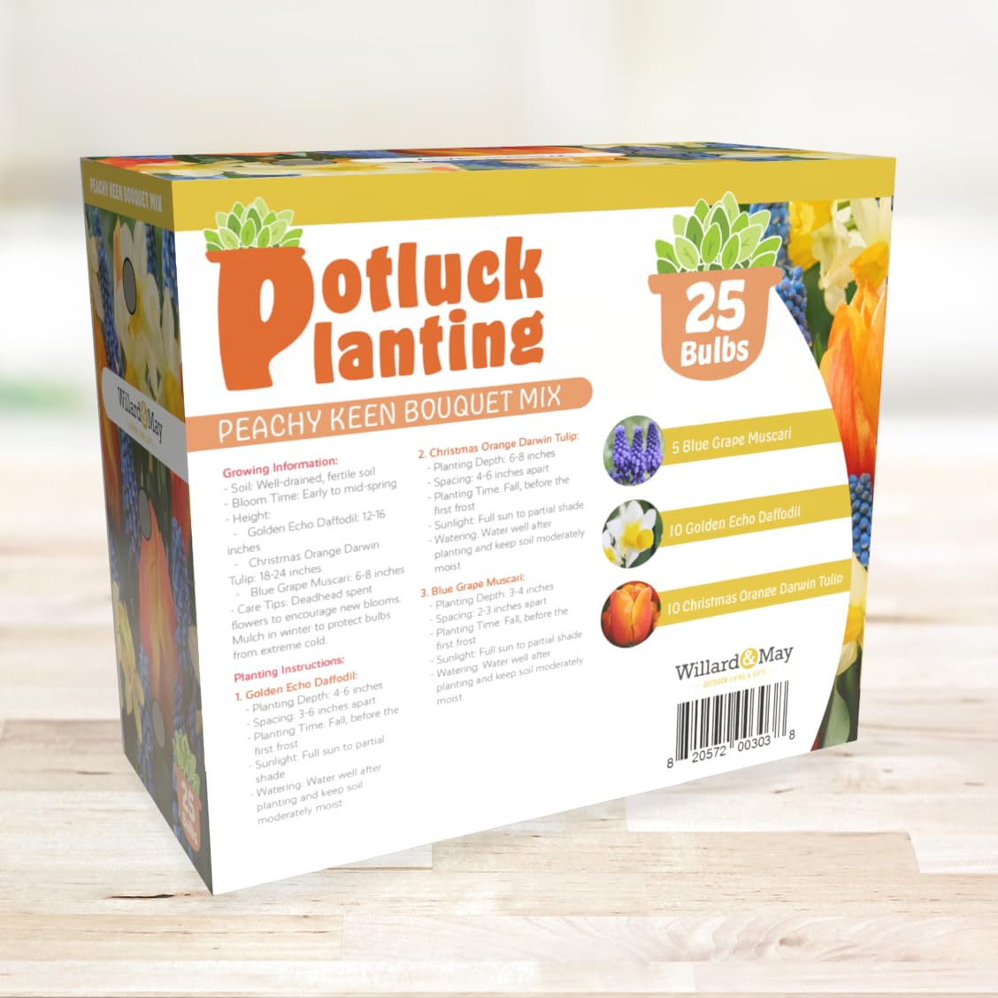 All-in-One Flower Garden Kit - 25 Flower Bulbs Per Box - Potluck Planting Peachy Keen Bouquet Mix - Daffodil, Tulip, Muscari - Fragrant - Naturalizing - Live Outdoor Garden - Easy to Plant Flowers