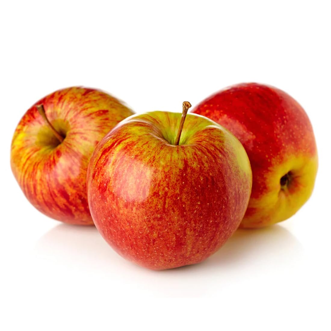 American Plant Exchange Anna Apple Tree, 1 Gallon Pot, 1-2 ft Tall, Live Outdoor Fruiting Plant, Honey Tart Fruit