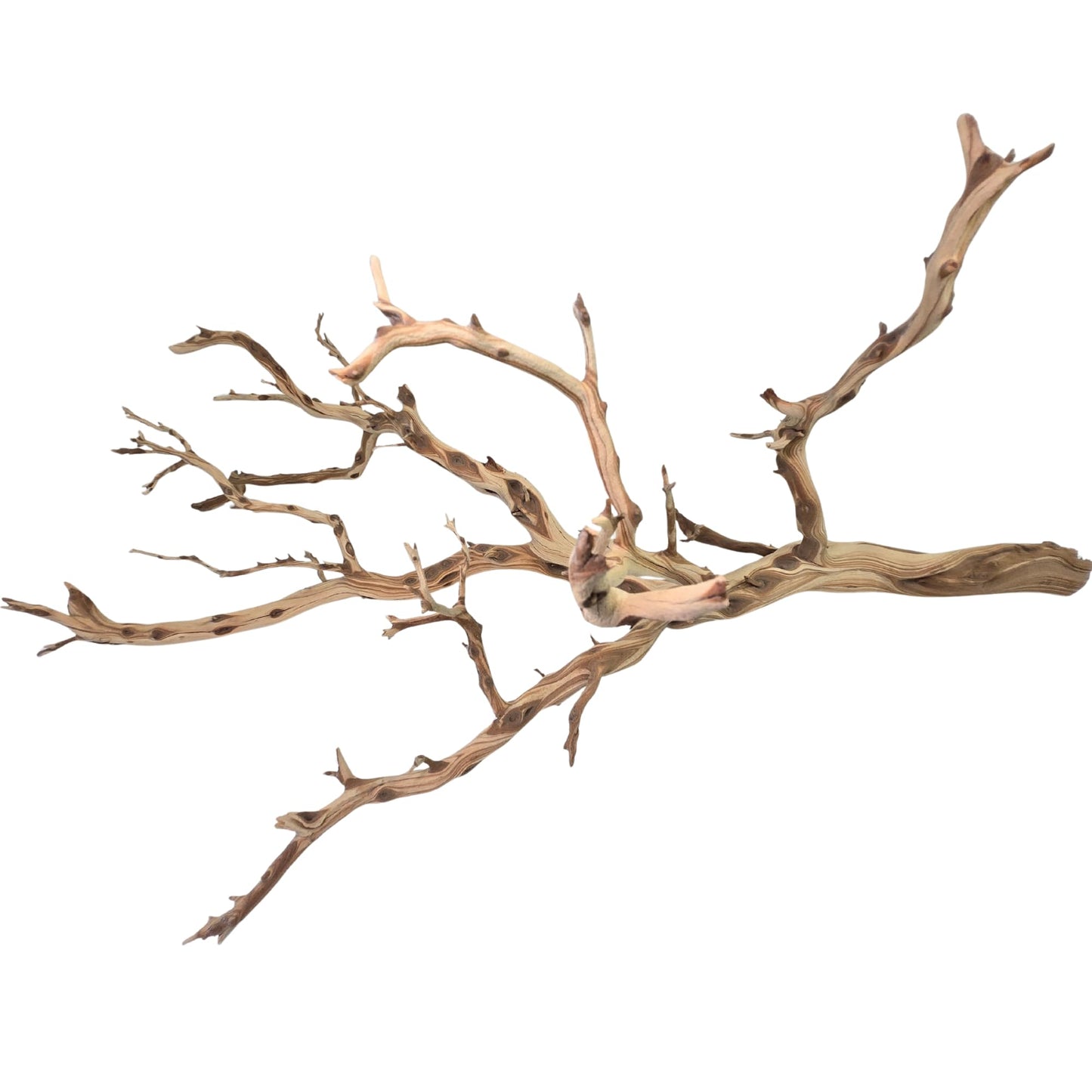 Koyal Wholesale California Driftwood with Natural Brown Branches, 36-Inch Large Driftwood Decor