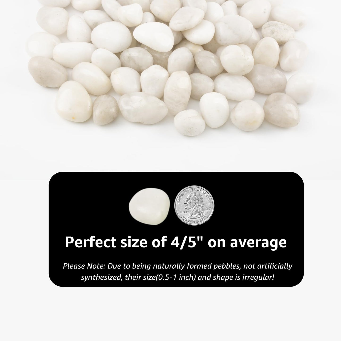 River Rocks - Natural Polished White Pebbles, 0.5-1 inch, 40 lbs - Perfect for Indoor Planting, Vase Filling, Aquarium Decoration, and Garden Landscaping (White, Weight: 40 LB)