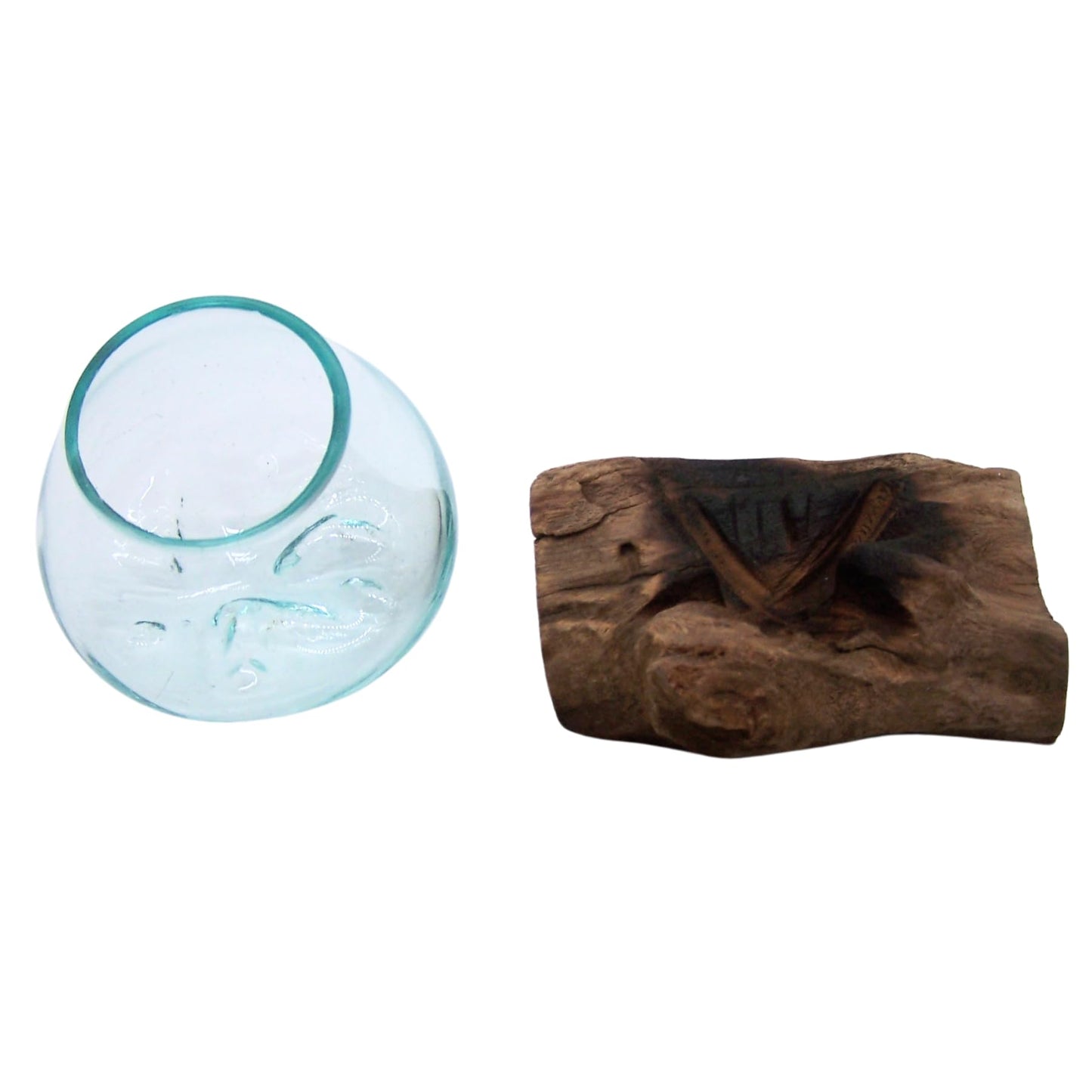Wowser Small Glass Bowl on Driftwood Figurine, Freestanding Nautical Décor, Beach Themed Decoration, 6.5 Inches