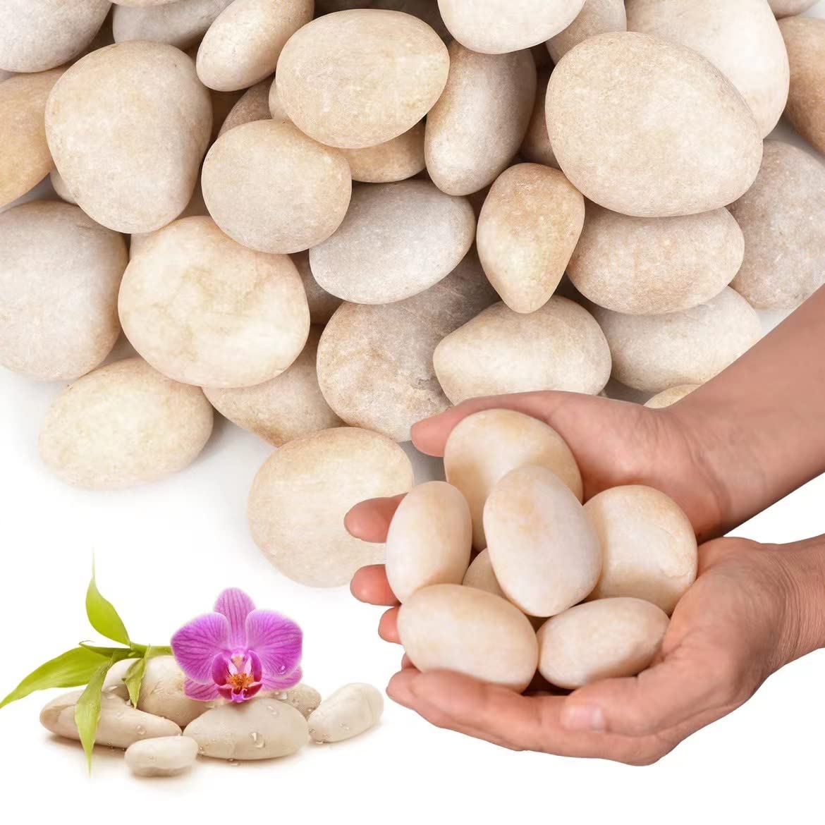 Lechloris 10lb Cream White River Rocks Outdoor Landscaping- Polished Pebble for Plants – Garden Decorative Stones-1-2 Large Plant Rocks,Ideal for Aquarium, Home Decor