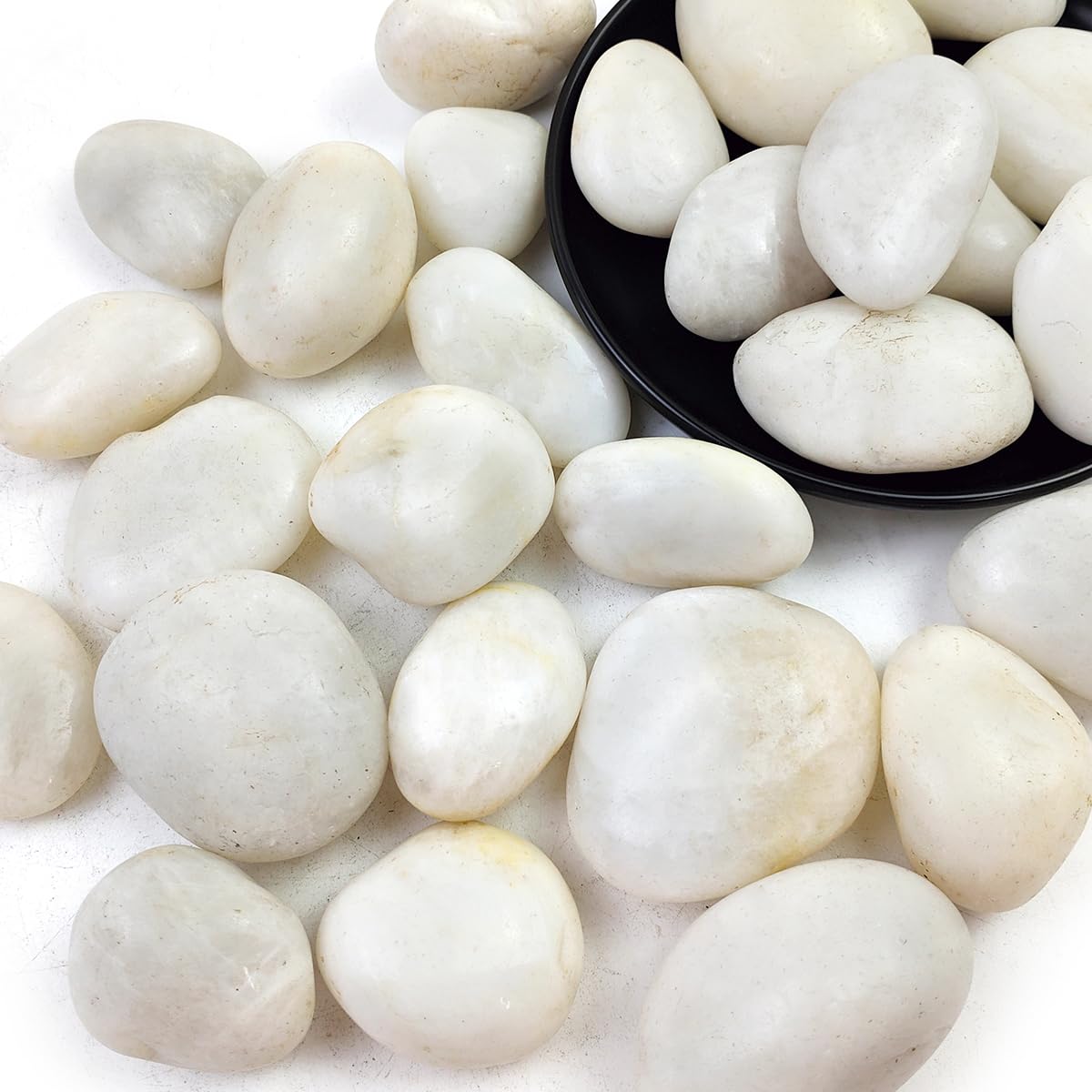 SHIZWU 5LB White River Rocks - 2-3 inch High Polished Decorative Pebbles, Stones for Landscaping, Natural River Rocks for Outdoor Décor, Plants,Vase Filler,Fish Tank