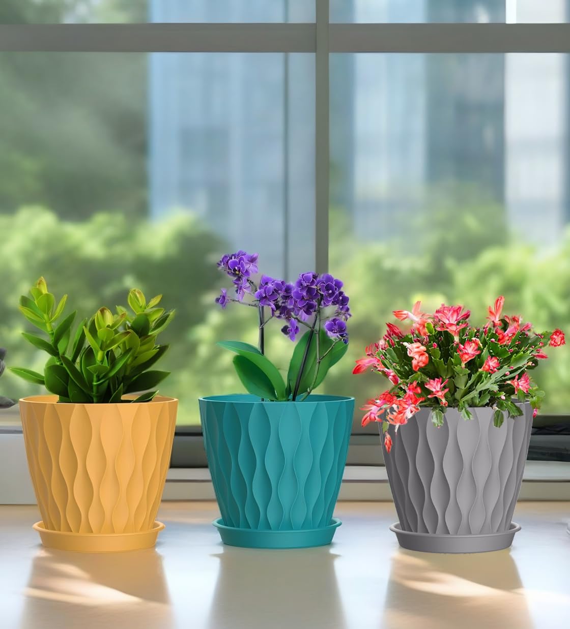 SQKH 6 Inch Plant Pots, 6 Pack Indoor Flower Pots, Planters with Drainage Holes and Trays for Orchids, Violets, Succulents, Herbs, and Other Plants,Corolful