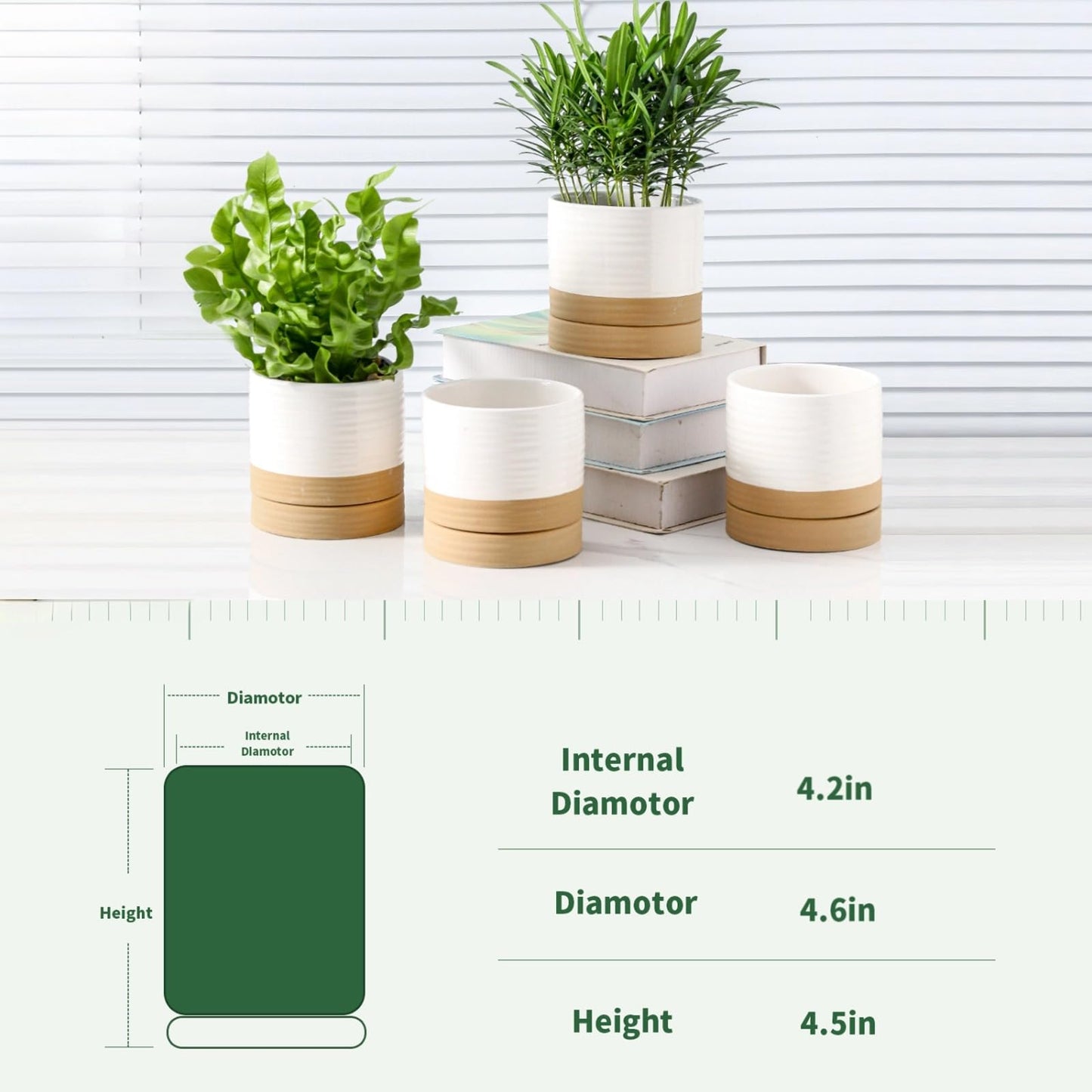 HASENSE Ceramic Plant Pots with Saucers Set of 4, 4.6 Inch Planters for Indoor Plants with Drainage Holes,Two-Tone White Flower Pots for Succulents, Snake Plants & Cactus, Farmhouse Desktop Decor