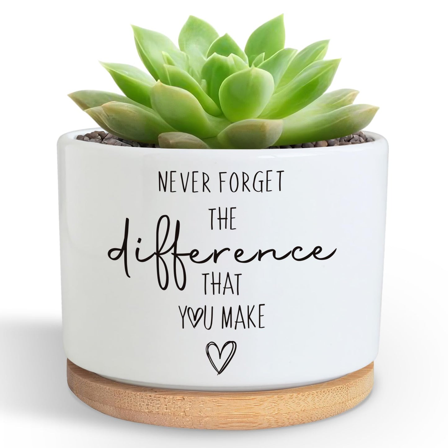 DOFAFALA Funny Planter Succulent Flower Pot, Flower Cactus Planter Gifts, Appreciation Inspirational Gifts for Plant Lovers Women Men Coworkers Home Office Decor (No Plants)